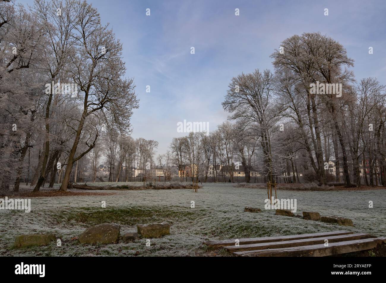 Hoar frost on trees and grass in a park on a clear winter day Stock Photo