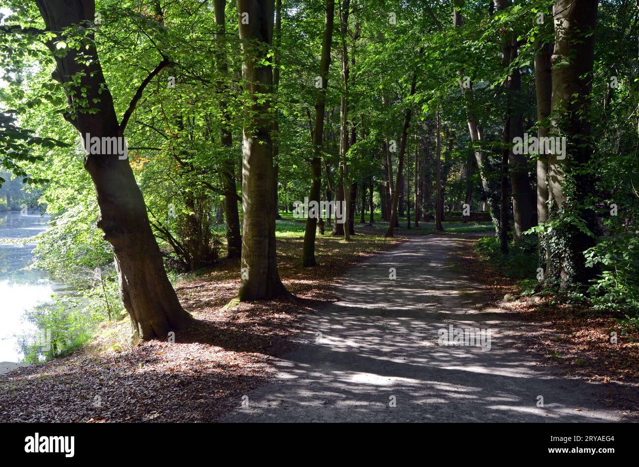 28.09.2023 Beetzendorf Park Deutschland/ Sachsen Anhalt/ Altmark