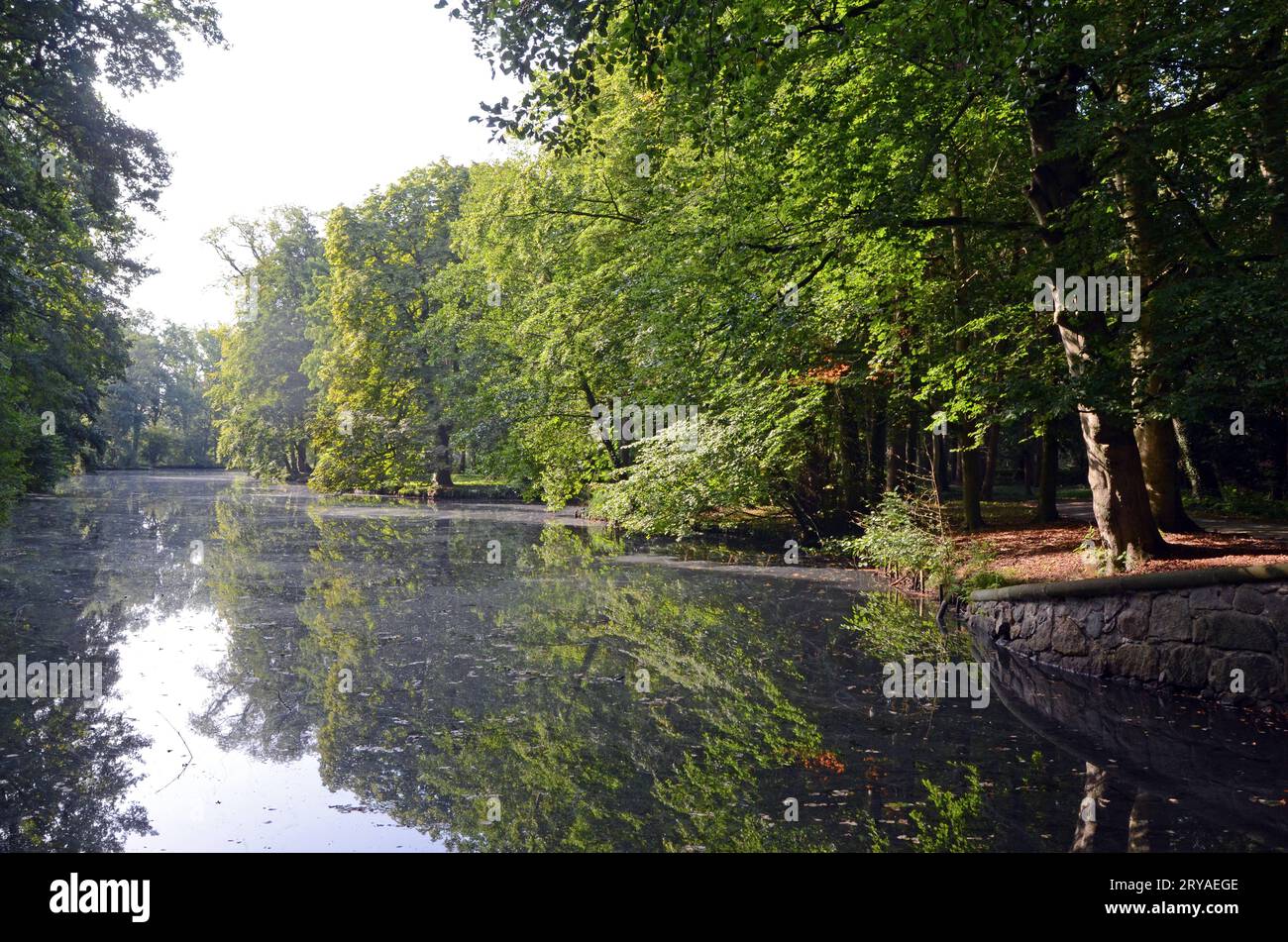 28.09.2023 Beetzendorf Park Deutschland/ Sachsen Anhalt/ Altmark