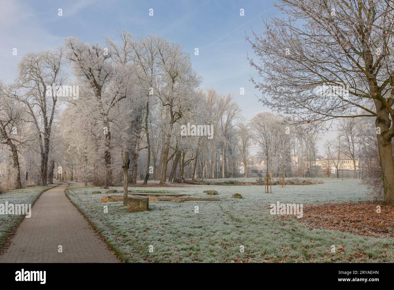 Hoar frost on trees and grass in a park with a footpath Stock Photo