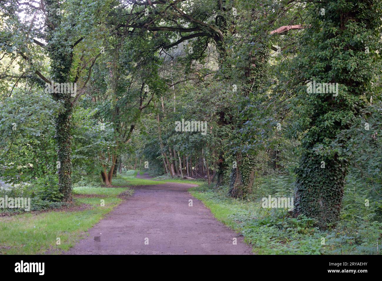 28.09.2023 Beetzendorf Park Deutschland/ Sachsen Anhalt/ Altmark