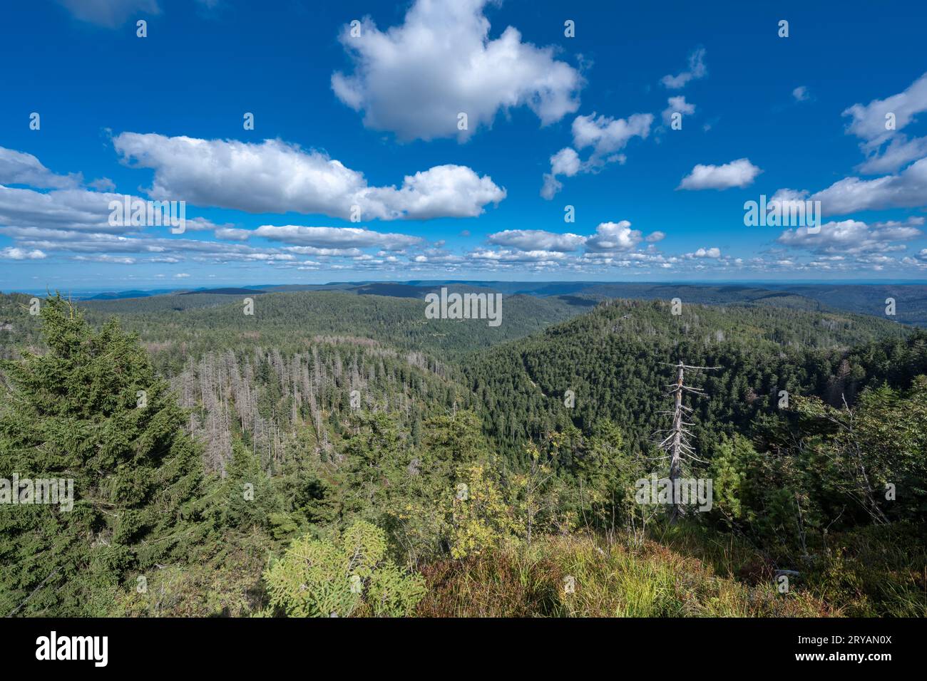 View from Hornisgrinde over the Northern Black Forest . Baden-Wuerttemberg, Germany, Europe Stock Photo