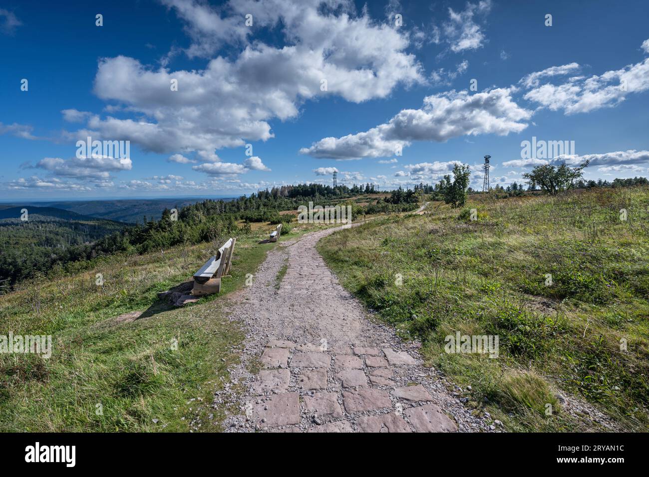 Hiking trail on the Hornisgrinde Plateau, the highest mountain (1164,4 m) in the Northern Black Forest. Baden Wuerttemberg, Germany, Europe Stock Photo