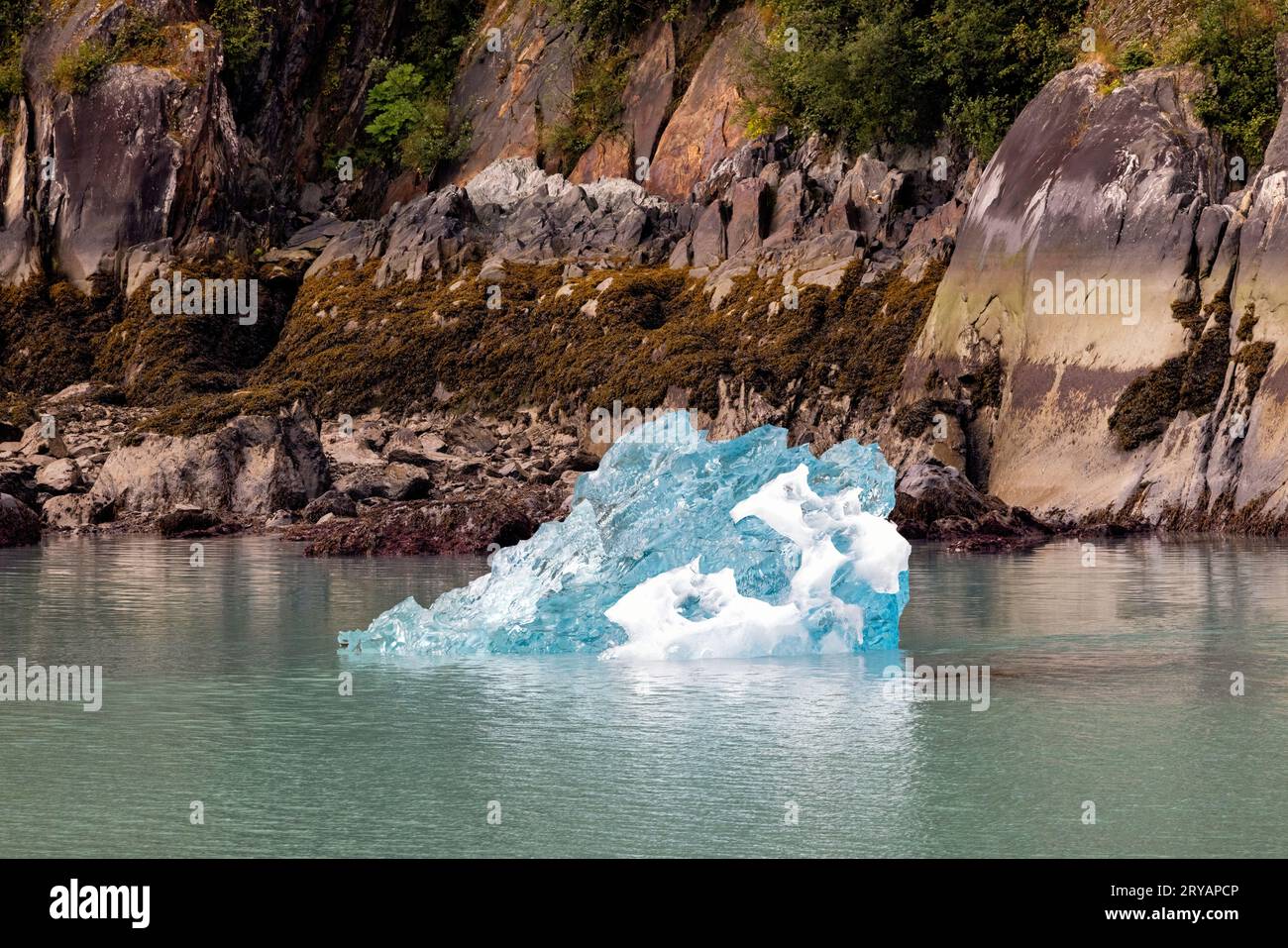 Iceberg from Sawyer Glacier in Tracy Arm Fjord near Juneau, Alaska, USA Stock Photo