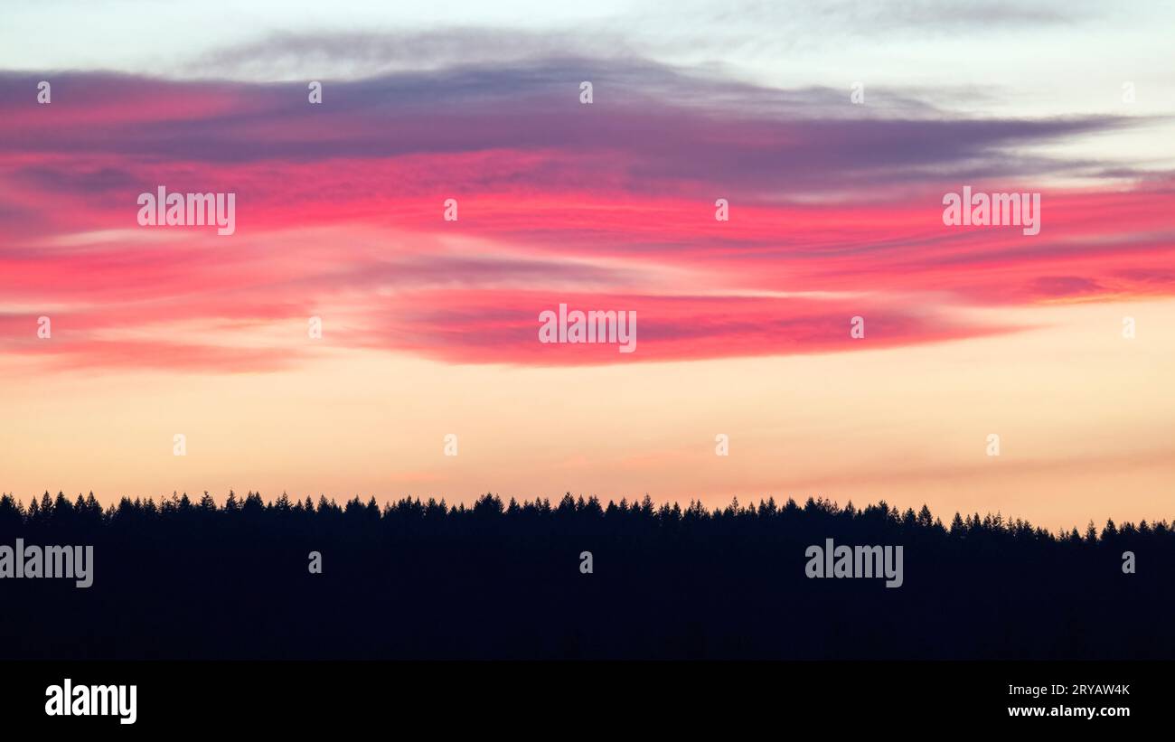 Vibrant color patterns hi-res stock photography and images - Alamy