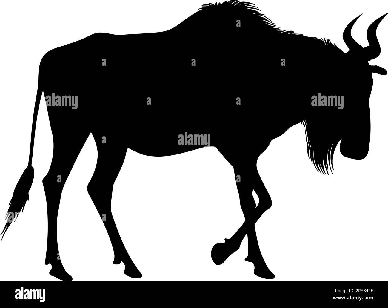 wildebeest silhouette. vector illustration Stock Vector Image & Art Alamy