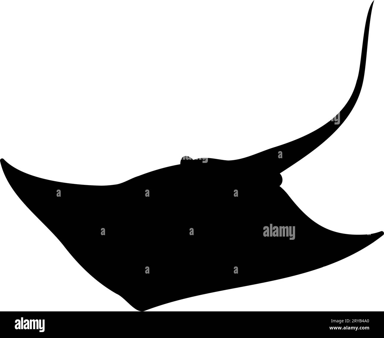 Stingray Manta ray silhouette. vector illustration Stock Vector Image