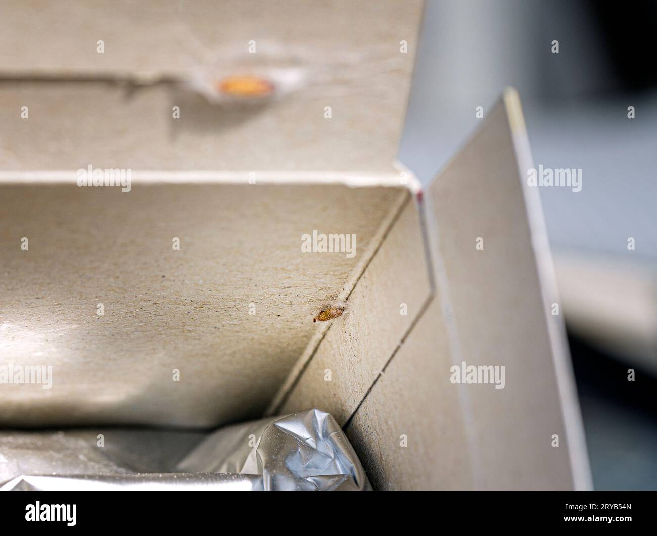 Lebensmittelmotten kleben an der Innenseite einer Lebensmittelverpackung in einem Motten Kokon Stock Photo