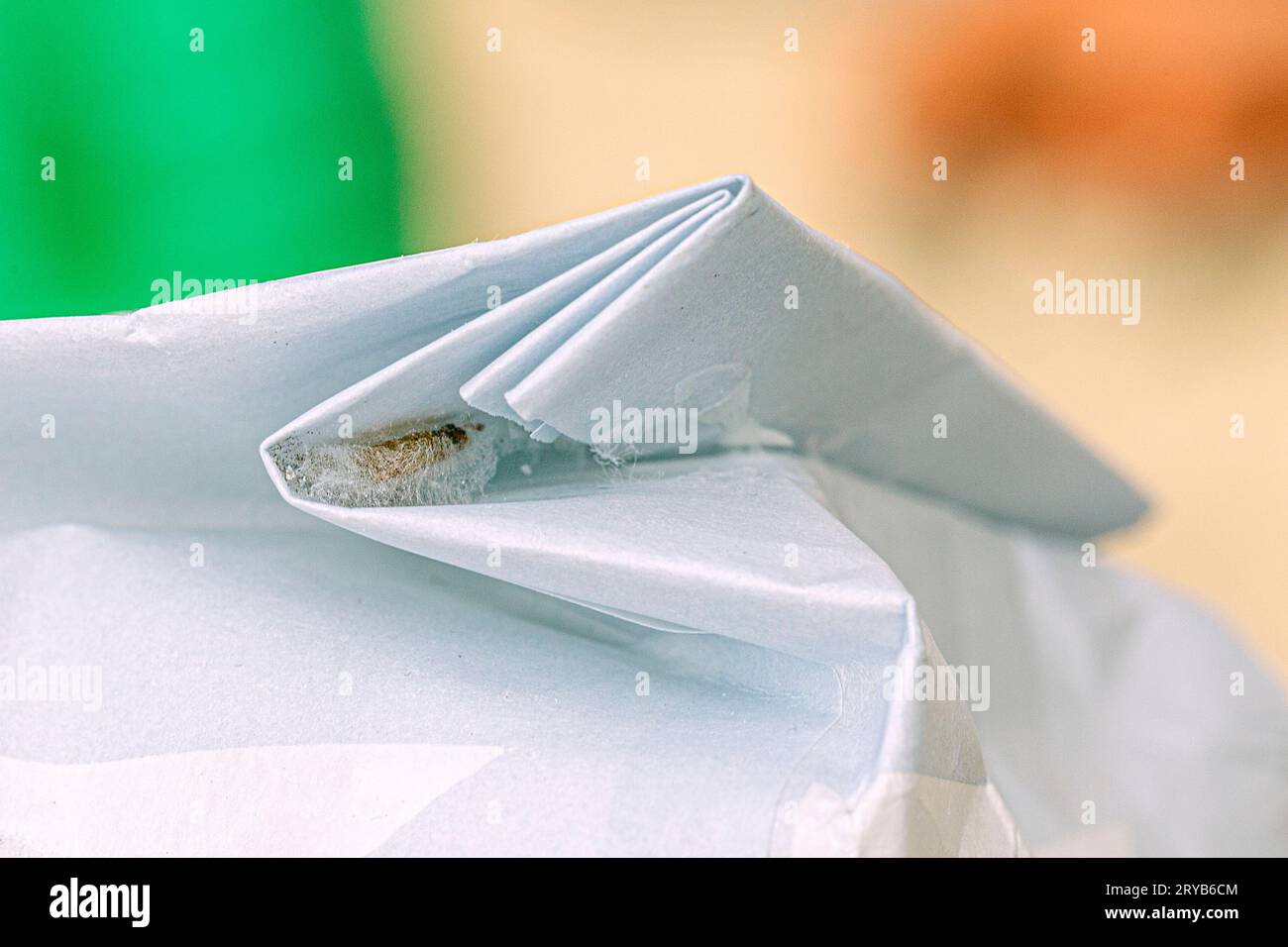 Eine Lebensmittelmotte klebt an der Innenseite des Falzes einer Lebensmittelverpackung in einem Motten Kokon Stock Photo