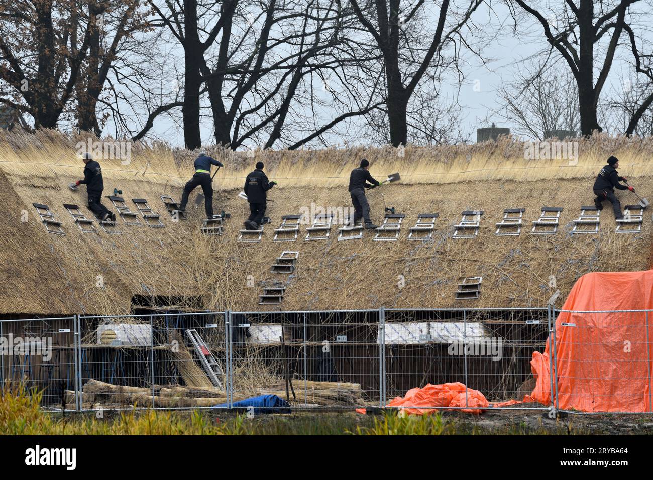 Thatched roofers working to cover a roof of house under construction with thatch Stock Photo