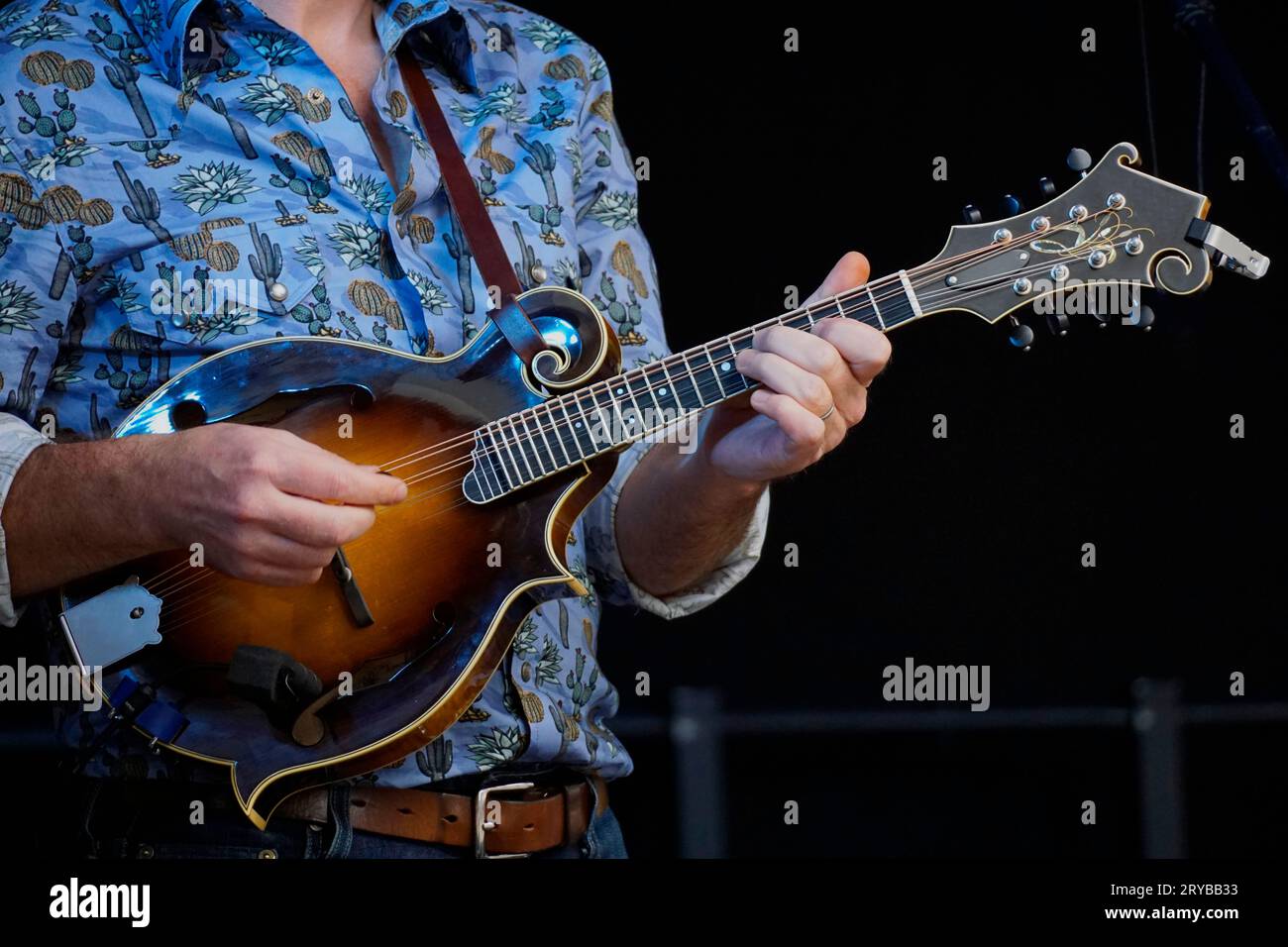 Close-up of a musician playing a mandolin Stock Photo