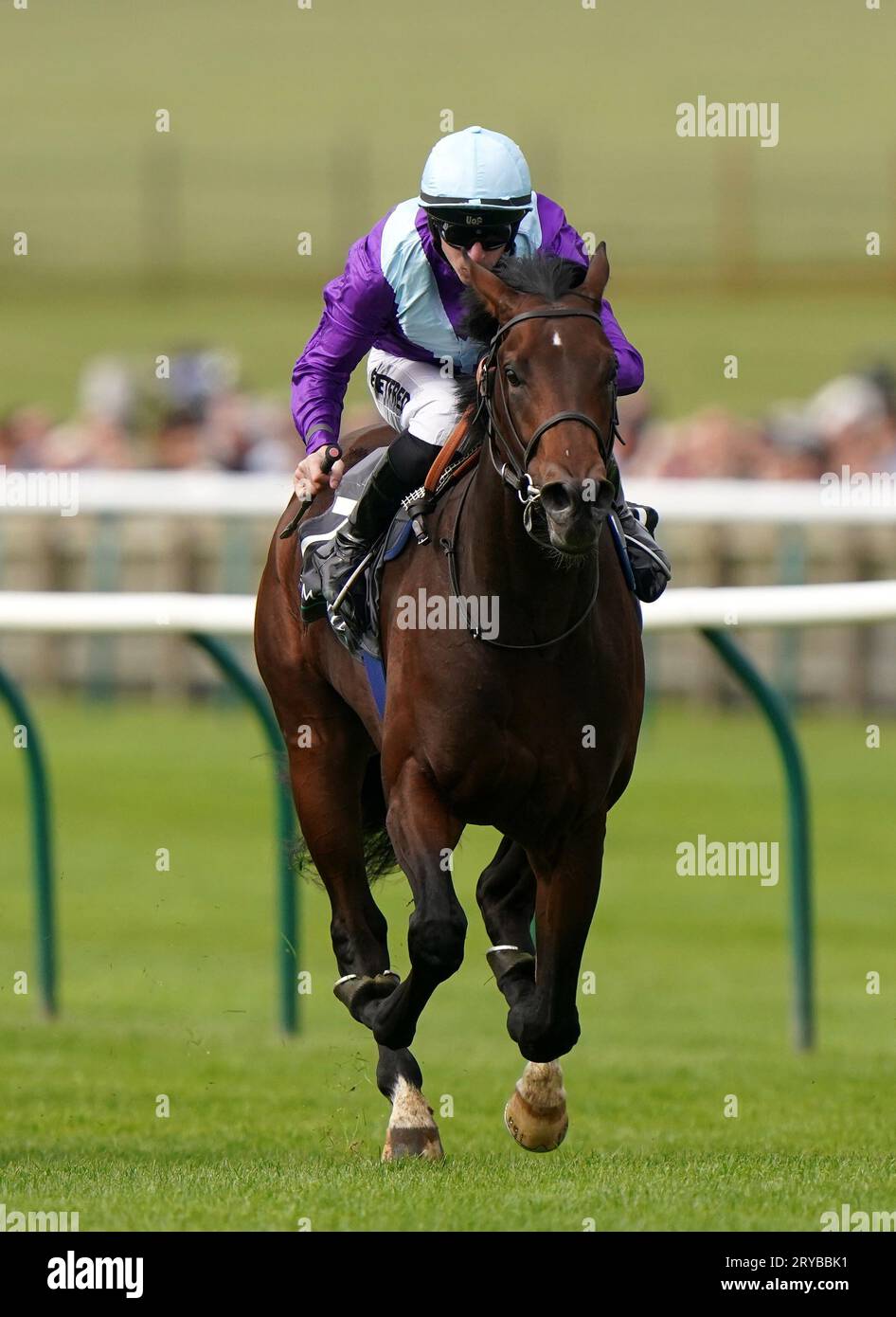 Ghostwriter ridden by Richard Kingscote on their way to winning the Juddmonte Royal Lodge Stakes during day Three of the Cambridgeshire Meeting at Newmarket Racecourse. Picture date: Saturday September 30, 2023. Stock Photo