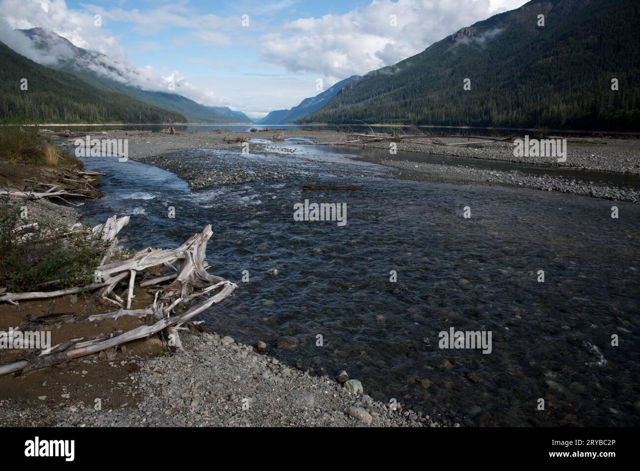 Ralph River open out into Buttle Lake in Strathcona  Provincial Park on Vancouver Island in Canada. Stock Photo