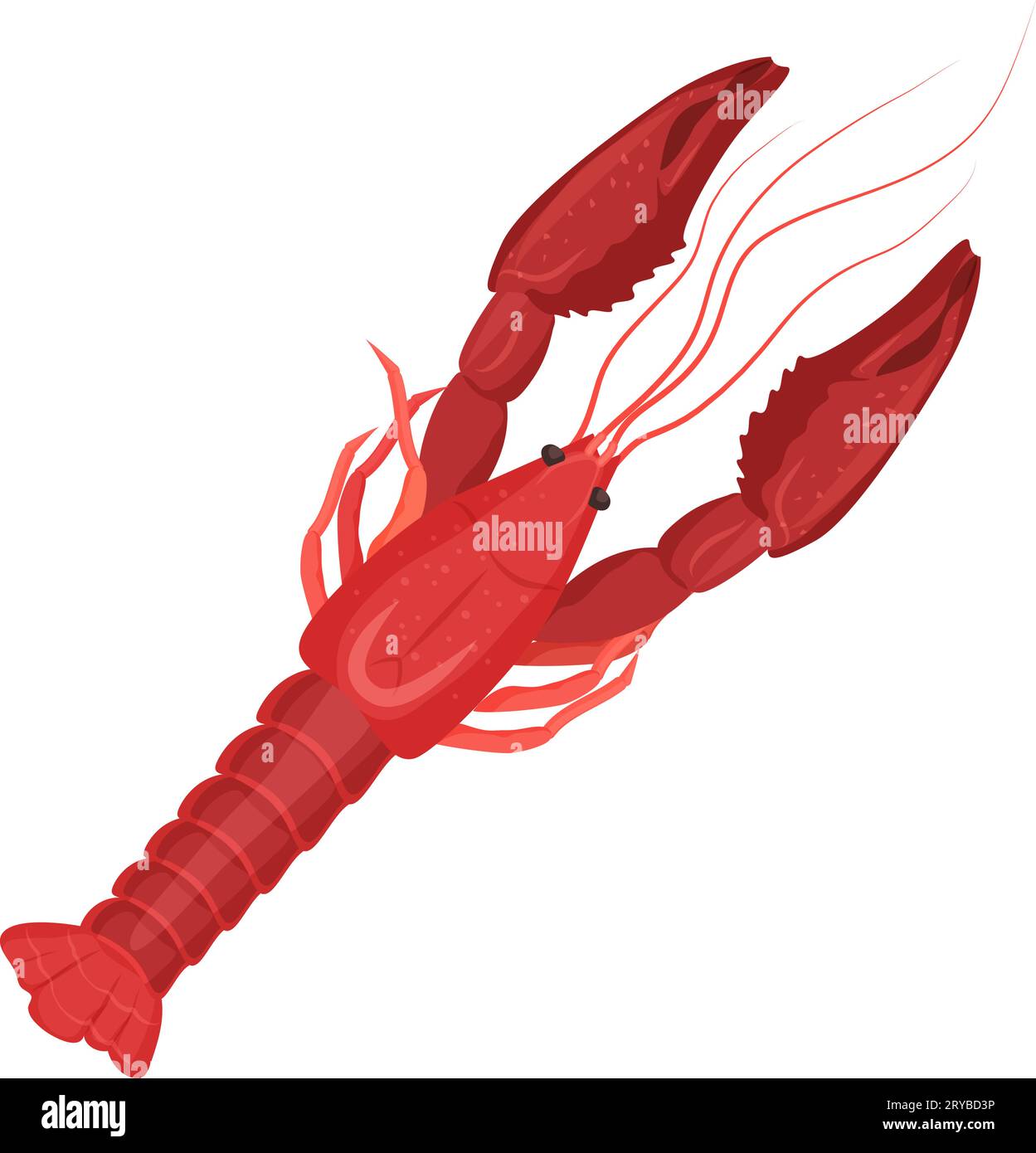 Fresh seafood cancer. Red lobster, sea cuisine, healthy seafood cartoon