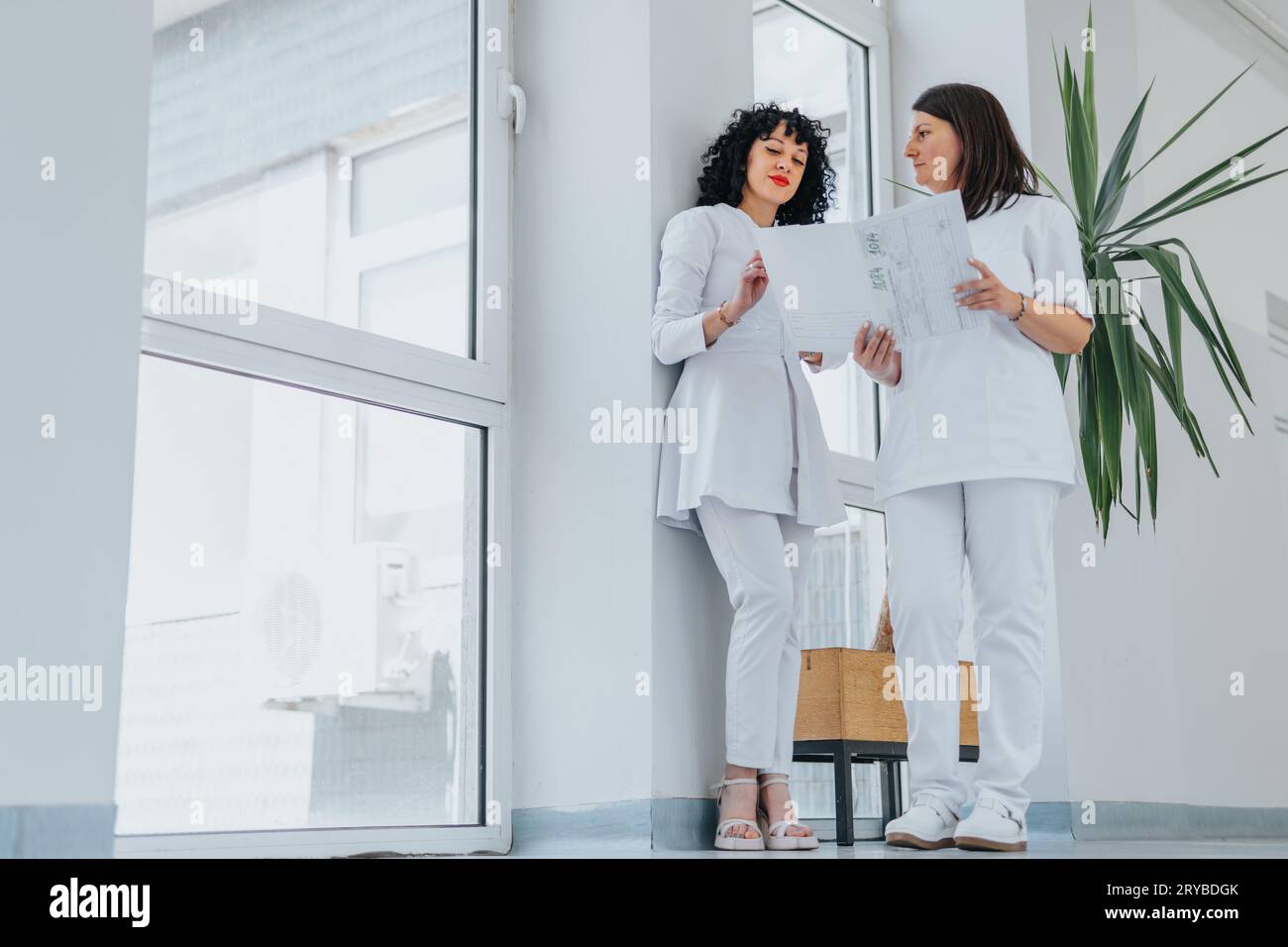 In a healthcare clinic, doctors collaborate on patient results. They discuss and plan therapy, demonstrating successful teamwork. Stock Photo
