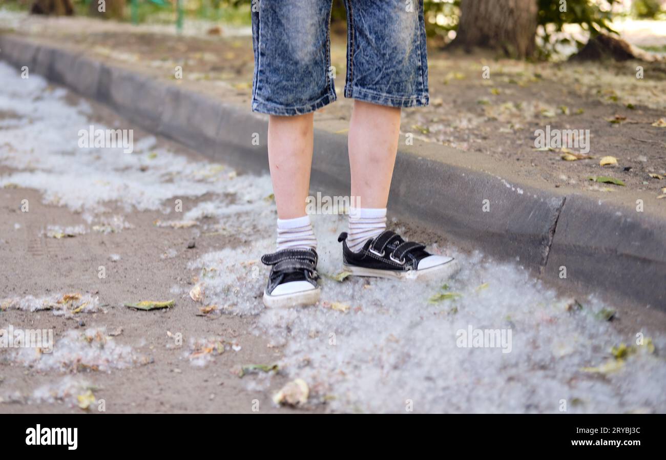 Children's feet in sneakers on the pavement covered with poplar fluff. Poplar blossom season, sunny day in the park. Fire risk Stock Photo