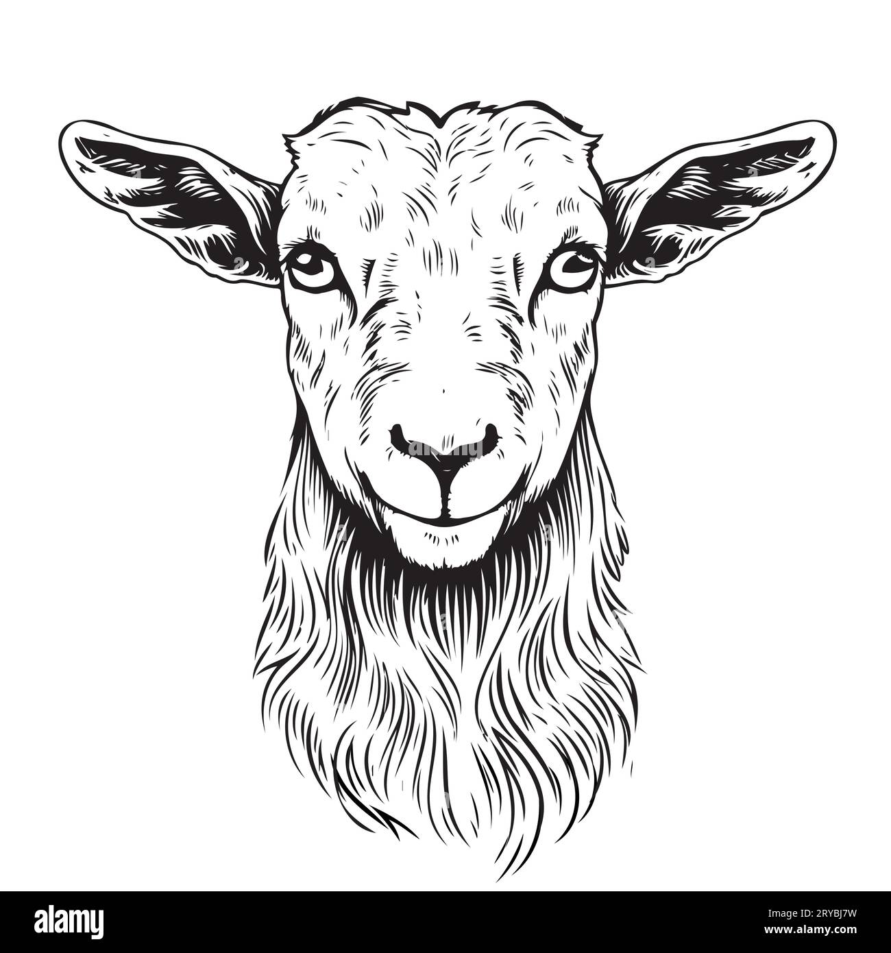 Farm goat kid without horns hand drawn sketch Vector animals Stock