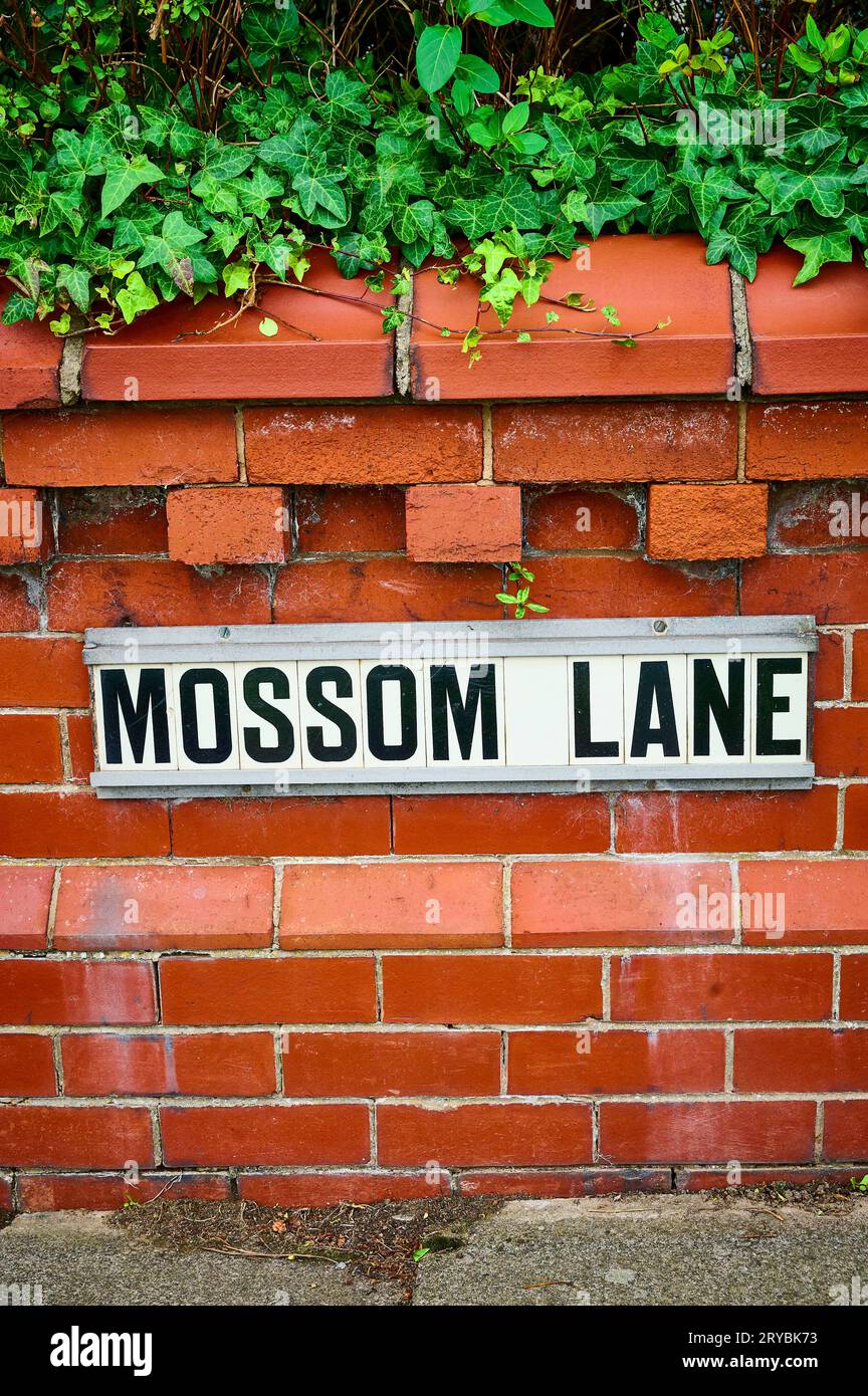 Mossom Lane sign on garden wall in Blackpool.UK Stock Photo Alamy
