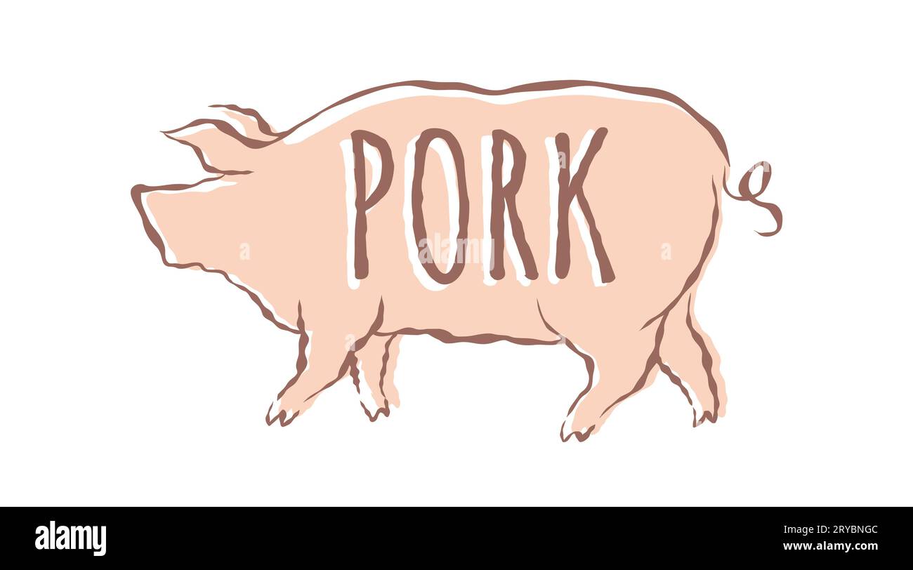 Vector illustration of pig in hand drawing style. Vector icon for food from pork. Pig. Stock Vector