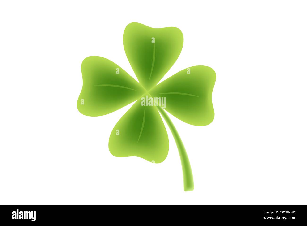 Vector lucky four leaf clover for Patrick's day. Vector illustration of lucky four leaf clover in realistic style. Stock Vector