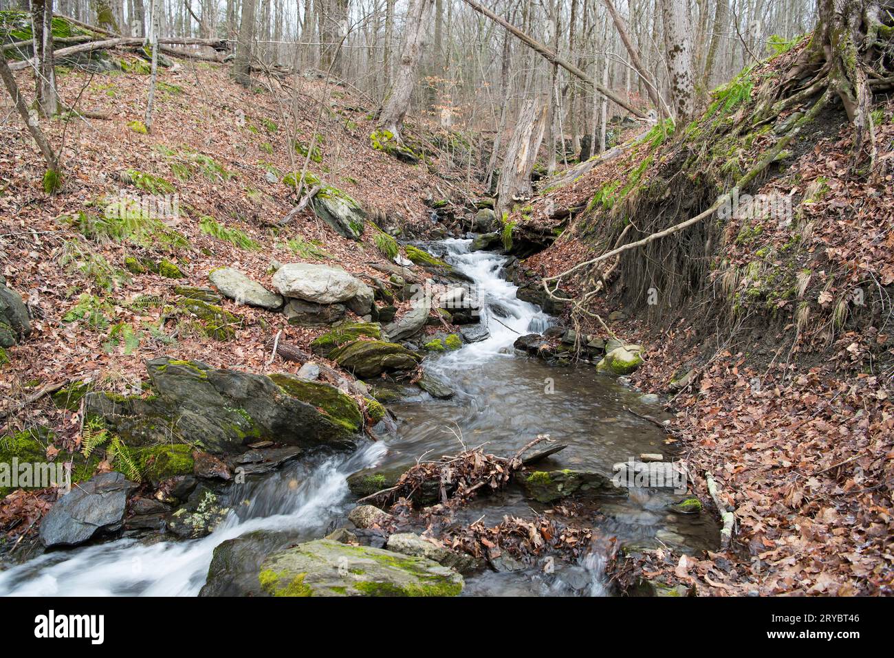 A small flowing brook and waterfall at Taconic State Park, Rudd Pond ...