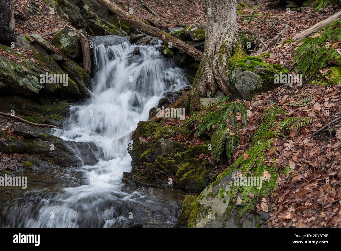 A small flowing brook and waterfalls at Taconic State Park, Rudd Pond