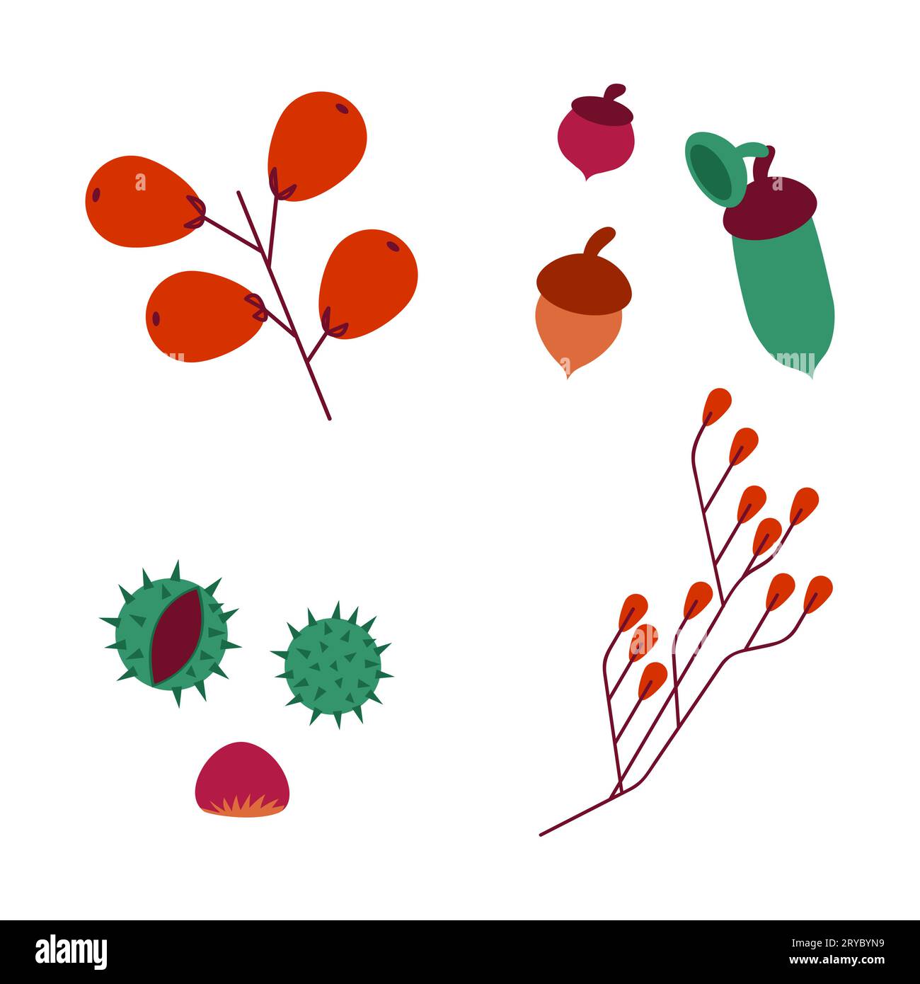 Red ripe forest rose Stock Vector Images - Alamy