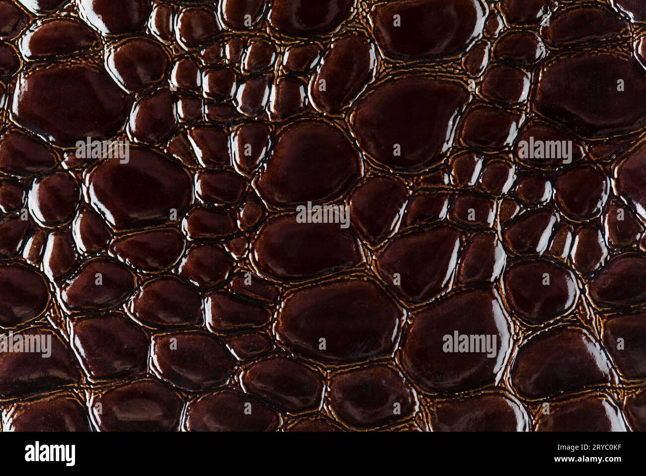 Snake scale hi-res stock photography and images - Alamy