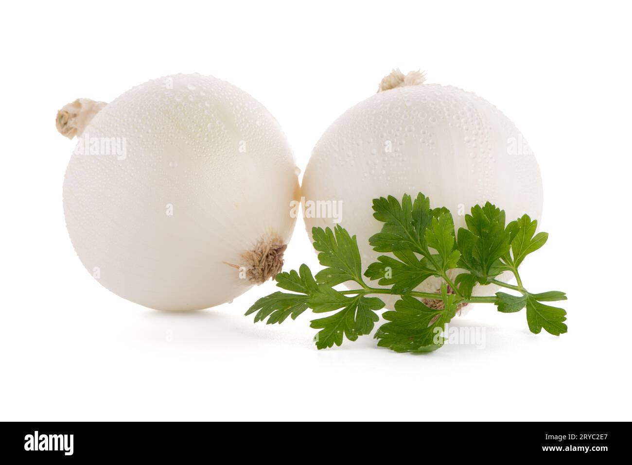 Clean white onions hi-res stock photography and images - Alamy
