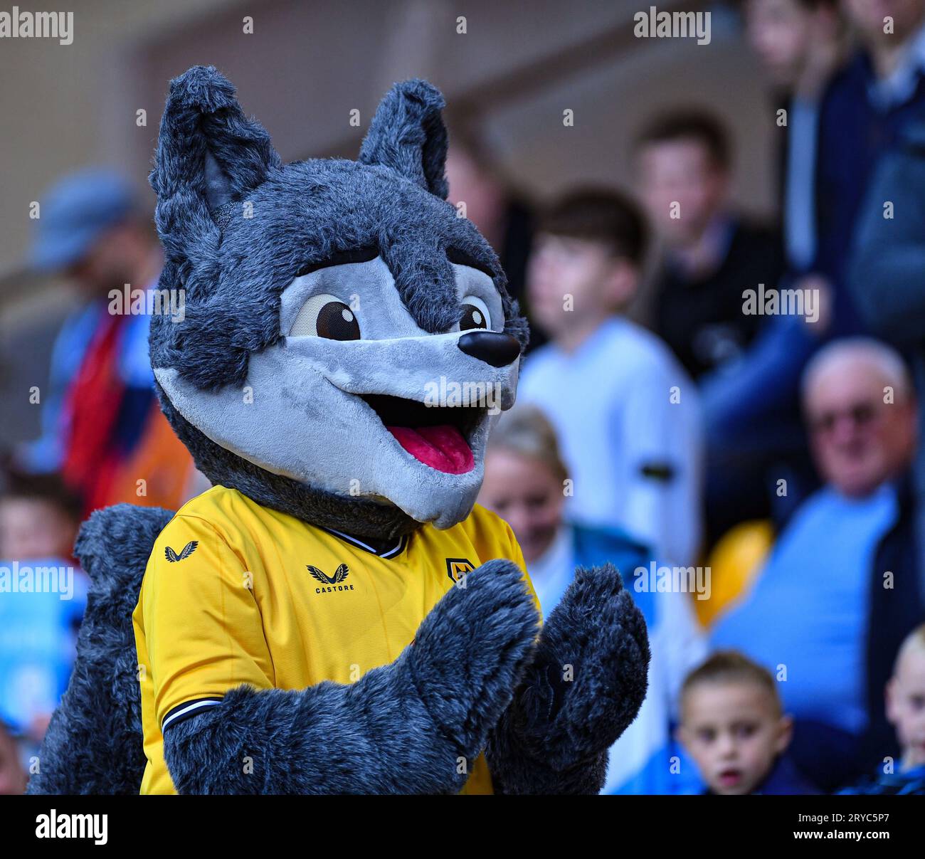 30th September 2023; Molineux Stadium, Wolverhampton, West Midlands, England; Premier League Football, Wolverhampton Wanderers versus Manchester City; The Wolves mascot Stock Photo