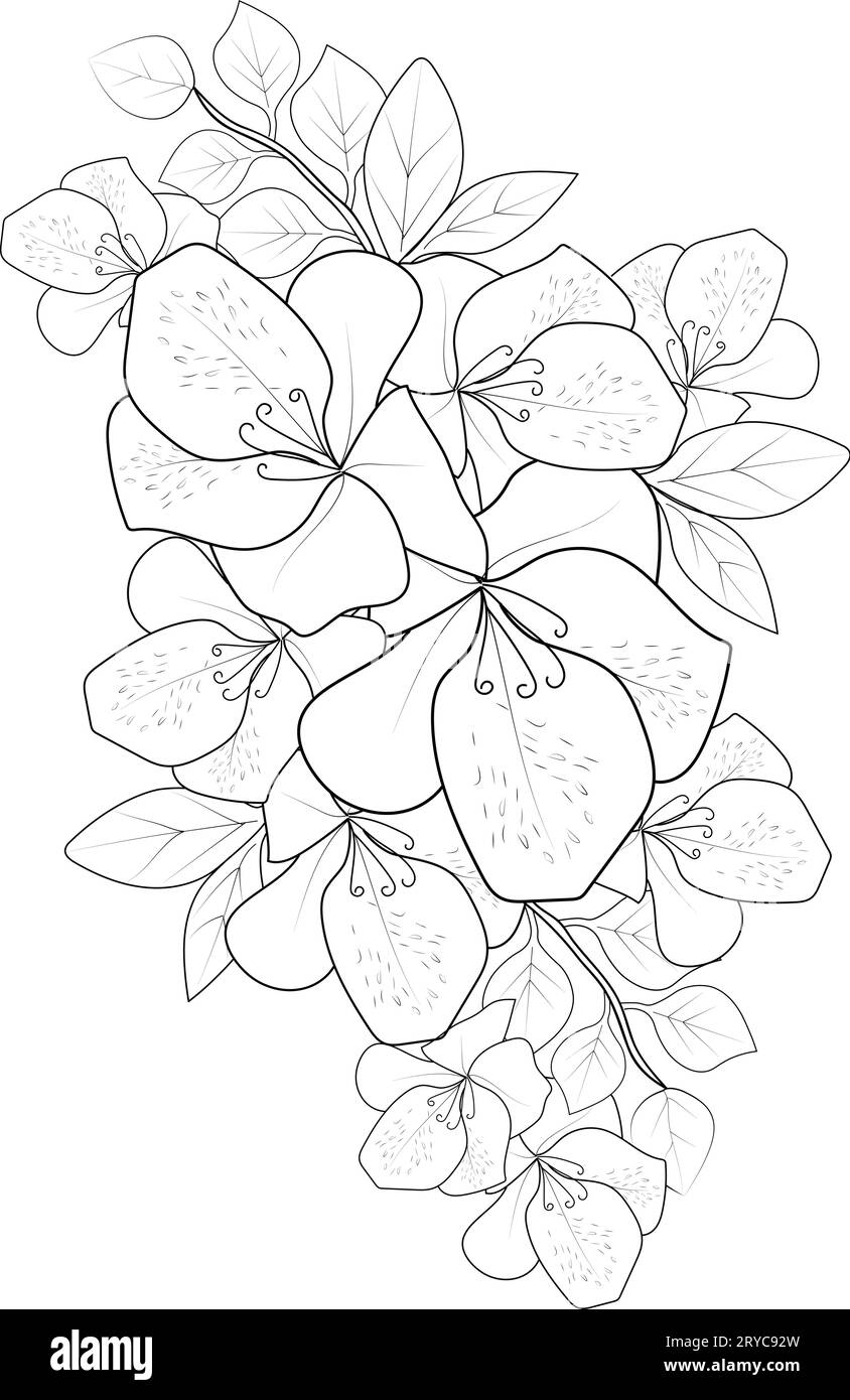 azalea bush drawing, azalea flower outline, realistic azalea flower