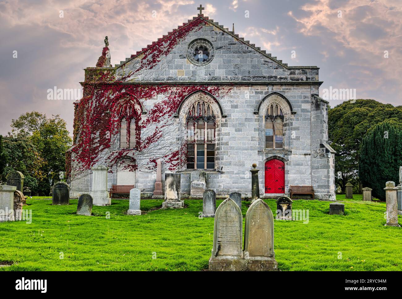 Autumn red ivy gorwing on wall of Liberton Kirk or Church with graveyard, Edinburgh, Scotland, UK Stock Photo