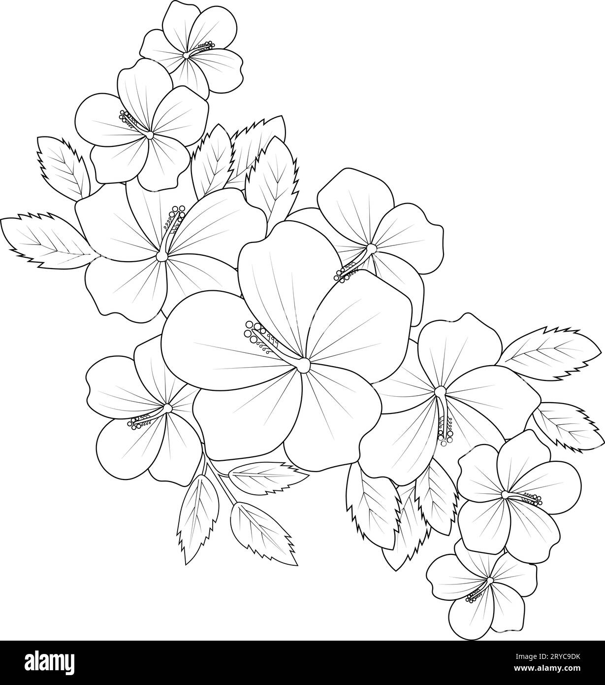 Hibiscus Flower Stencil hibiscus-flower-stencil