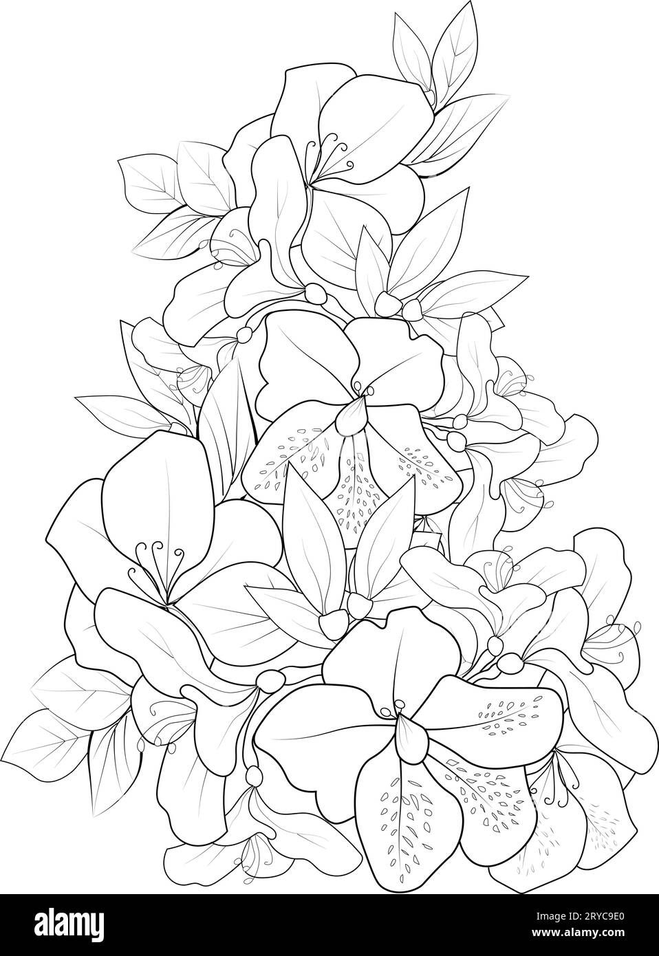 azalea flower drawing, azalea flower drawing, azalea bush drawing