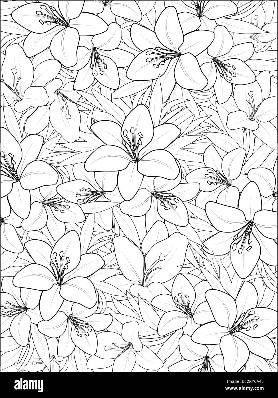 Flowers coloring book, Vector sketch of lily flowers, Hand drawn lily