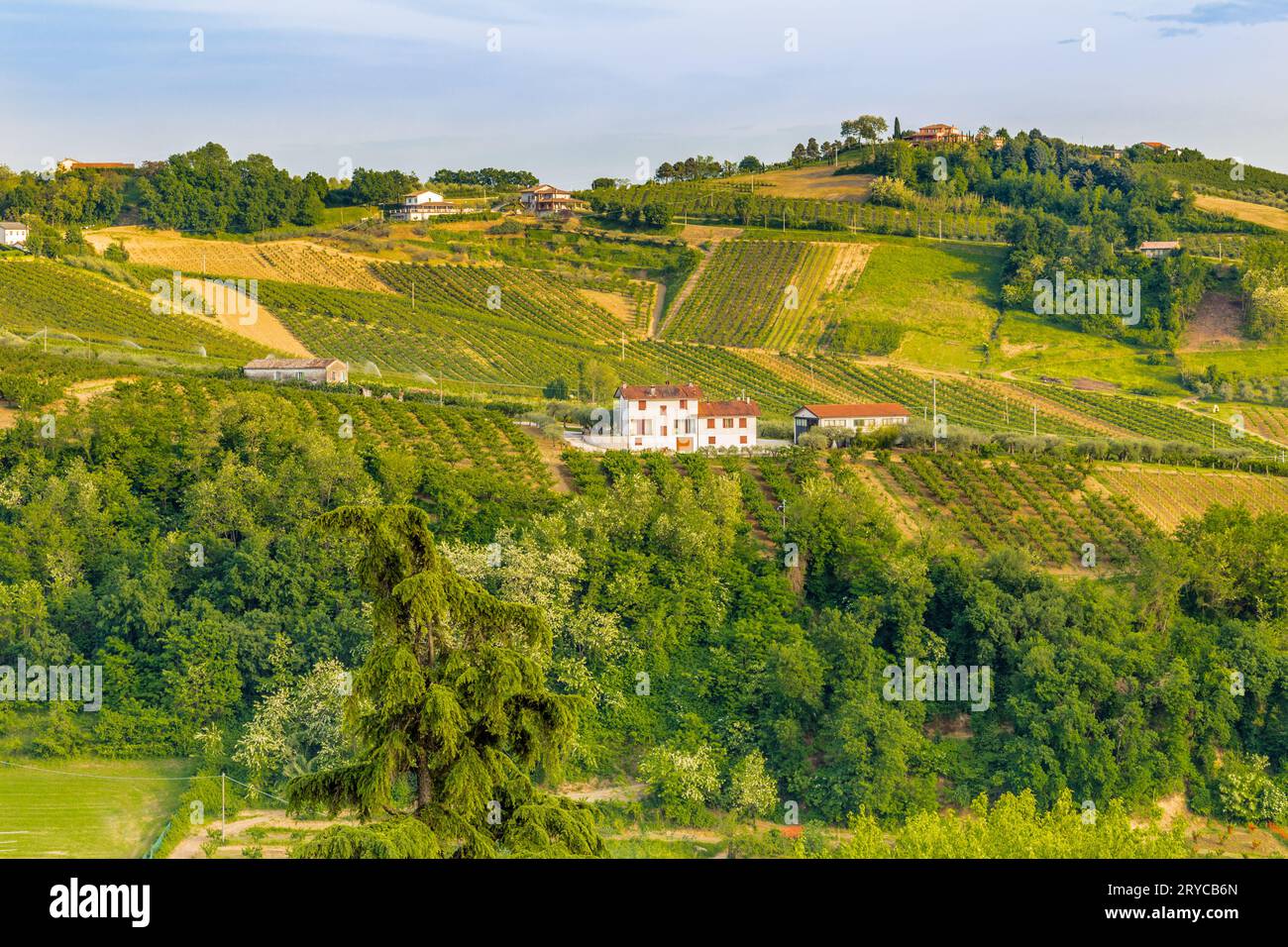 Italian countryside fields trees hi-res stock photography and images ...