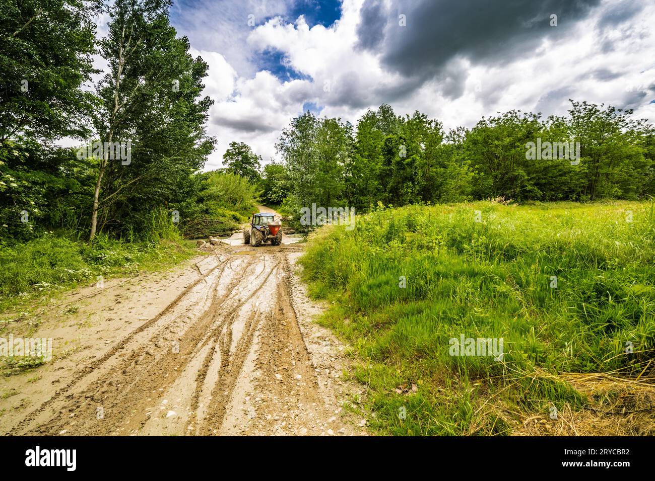 Ruts in the mud by tractor Stock Photo
