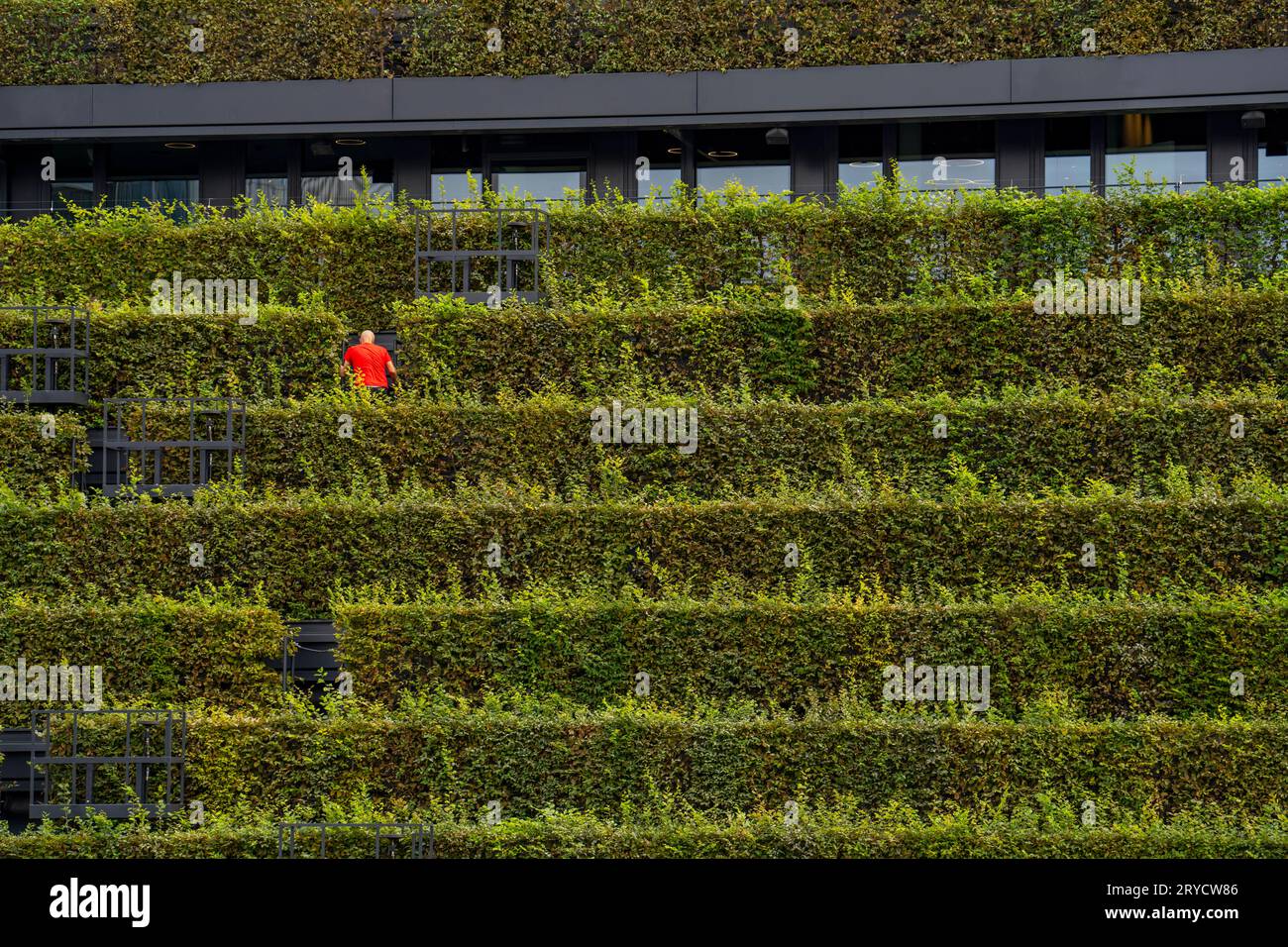 Bogen in der hecke hires stock photography and images Alamy