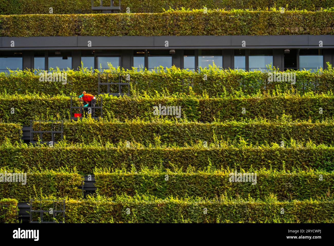 Bogen in der hecke hires stock photography and images Alamy