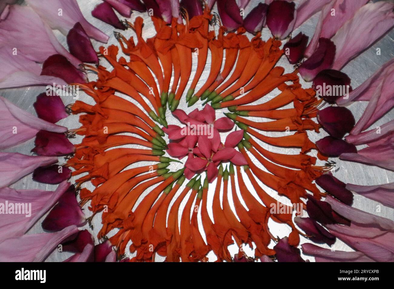 Beautiful flower rangoli also used as aarti thali decorated on pooja thaali Stock Photo