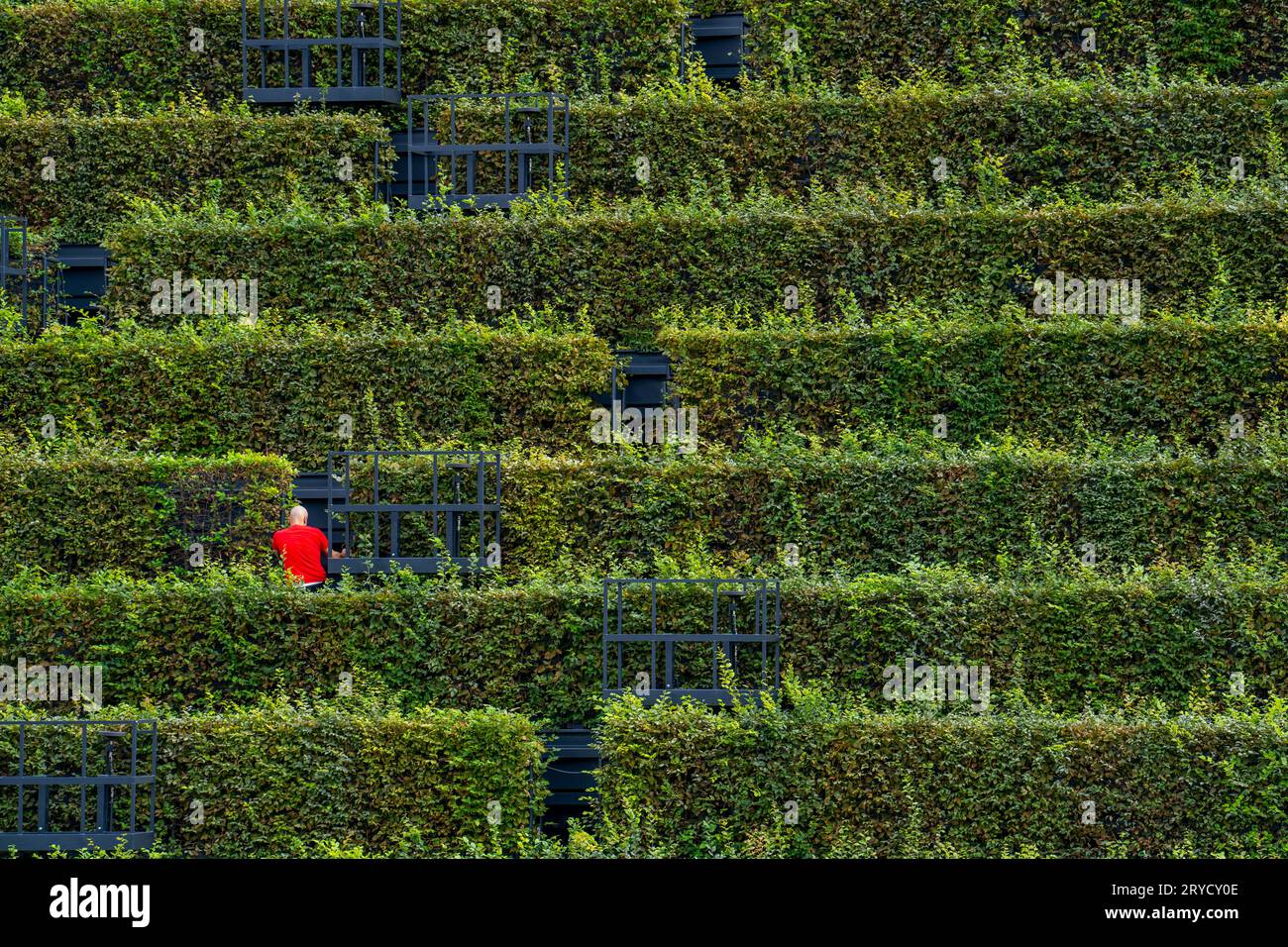 Bogen in der hecke hires stock photography and images Alamy