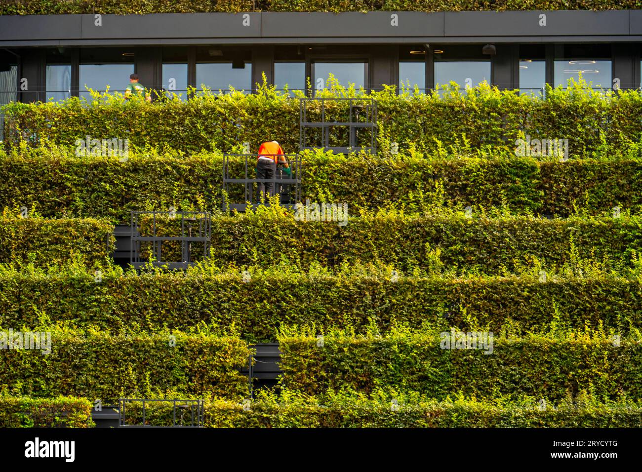 Bogen in der hecke hires stock photography and images Alamy