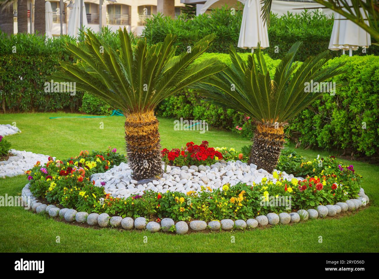 Tropical park in summer hi-res stock photography and images - Alamy