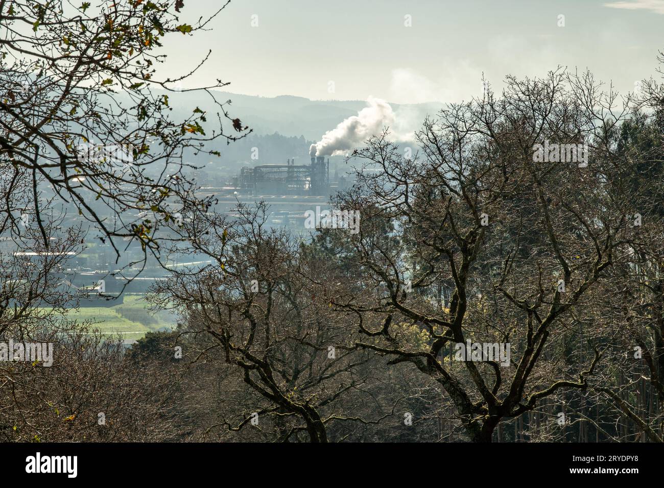 Scene of Trees and a Factory emitting smoke Stock Photo