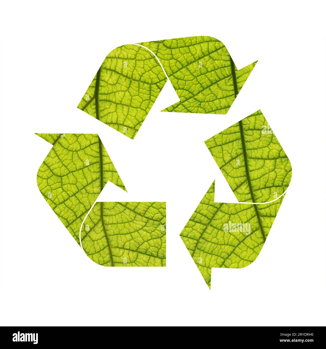 Illustration recycling symbol of green foliage Stock Photo - Alamy