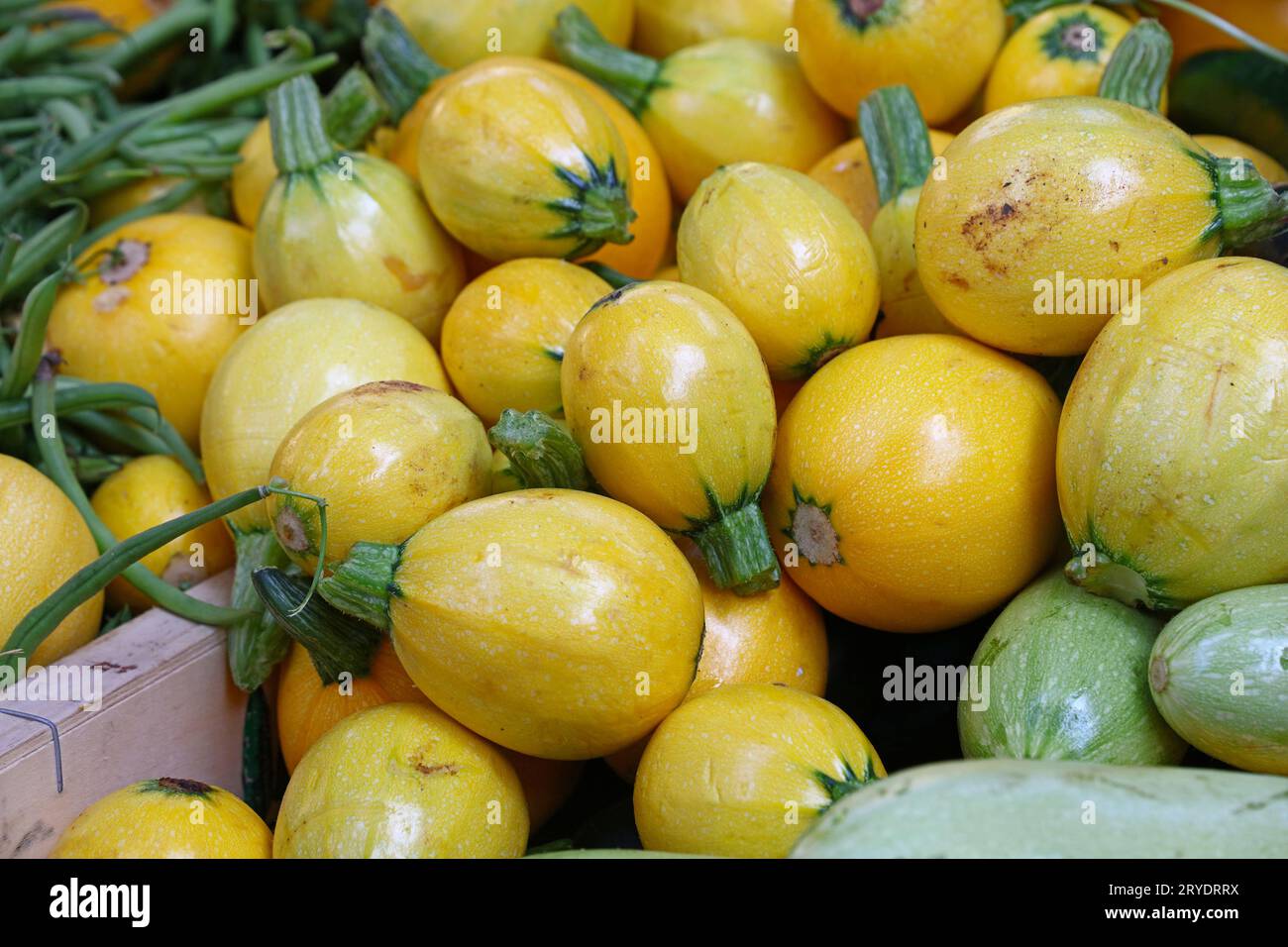 Yalangoch qizlar ish stoli fon rasmi Gozal qizlar onlayn jinsiy aloqa