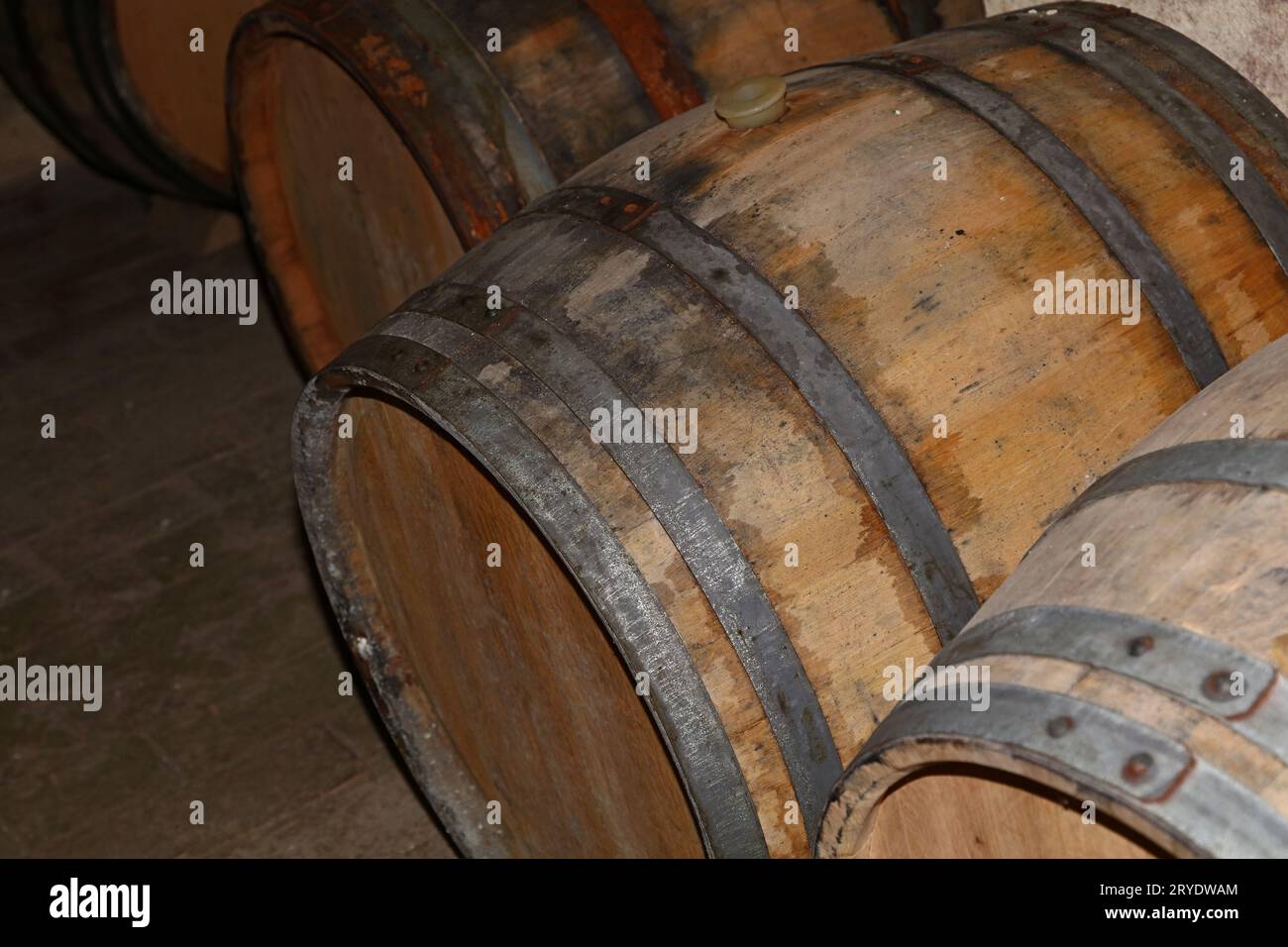 Rows of oak wood wine barrels in winery cellar Stock Photo - Alamy