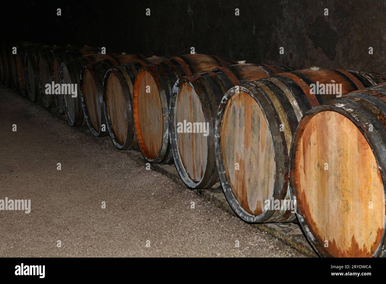 Rows of oak wood wine barrels in winery cellar Stock Photo - Alamy