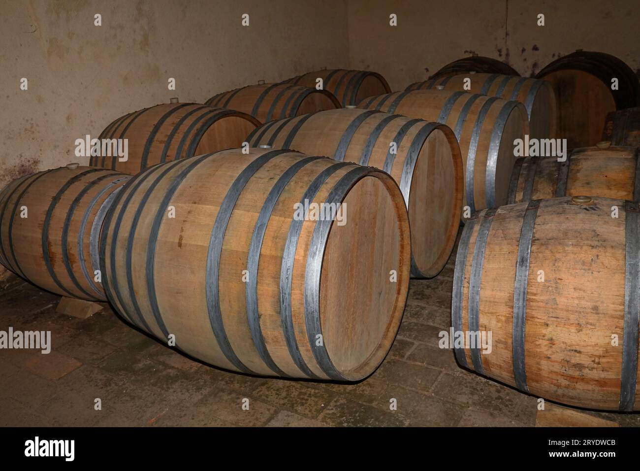 Rows of oak wood wine barrels in winery cellar Stock Photo - Alamy