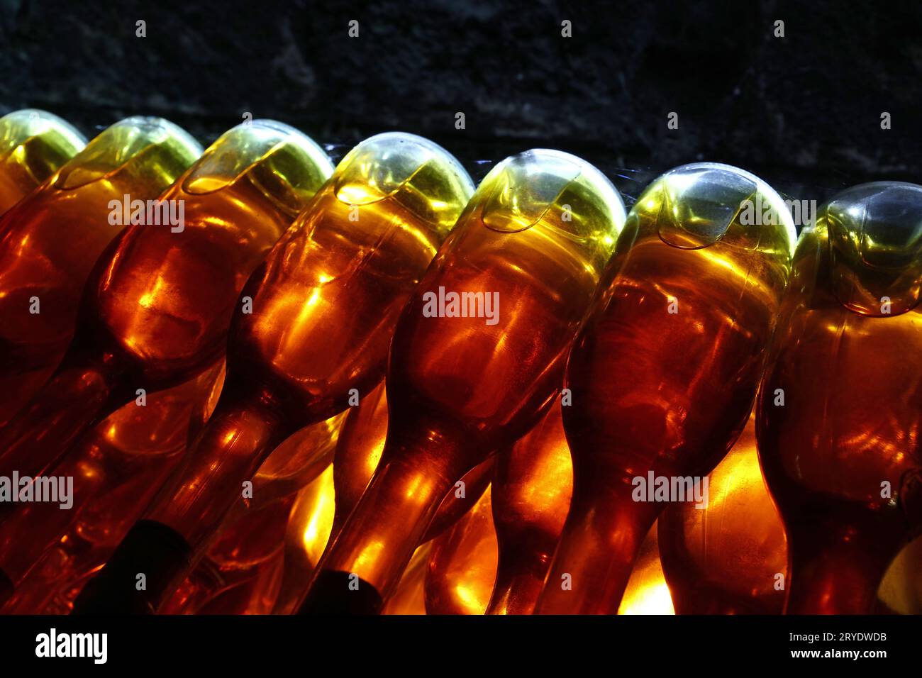 Rows of backlit wine bottles in winery cellar Stock Photo - Alamy